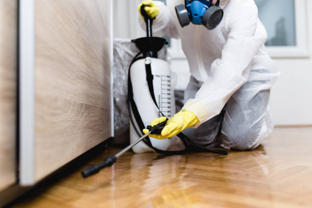 Best Best Pest Control Companies  in Rockville, MD