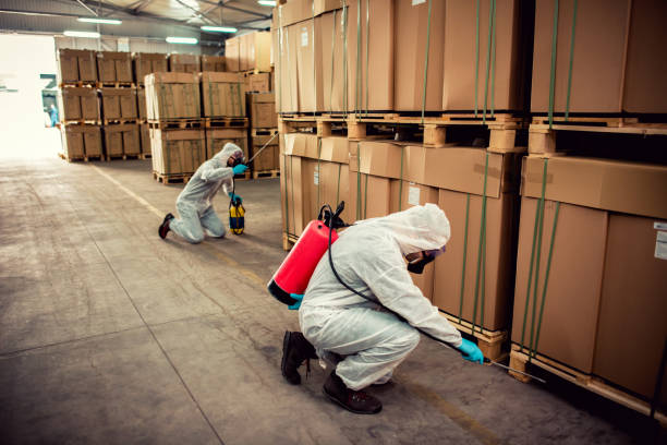 Best Pest Inspection Near Me  in Rockville, MD