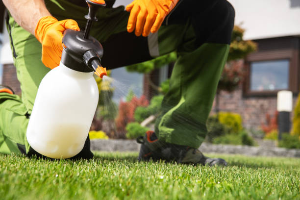 Best Pest Control Near Me  in Rockville, MD