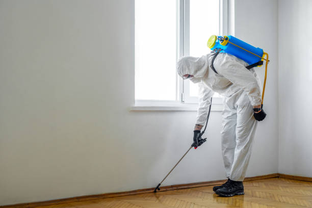 Best Bed Bug Extermination  in Rockville, MD
