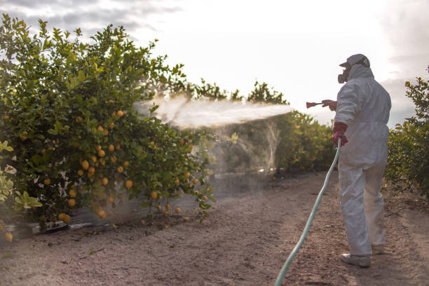 Best Pest Control Near Me in Rockville, MD