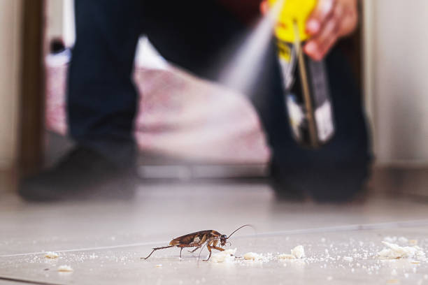 Trusted Rockville, MD Pest Control Experts
