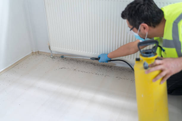 Best Flea Control Services  in Rockville, MD